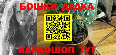 сатива Изобильный