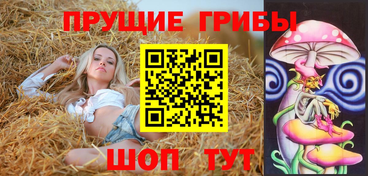 Лангепас  Галлюциногенные грибы Cubensis  Вход с VPN 